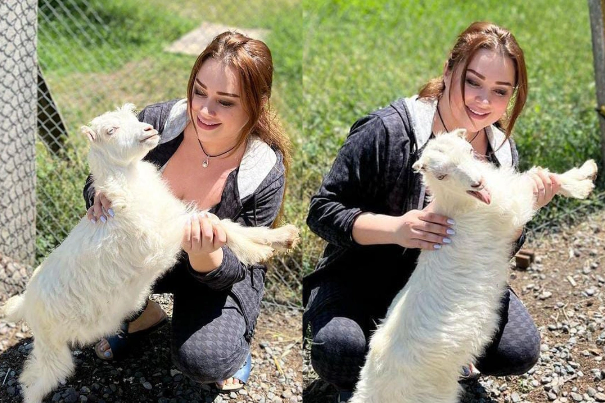 Yeni əməliyyat keçirən Xatirənin körpə keçisi - FOTO/VİDEO